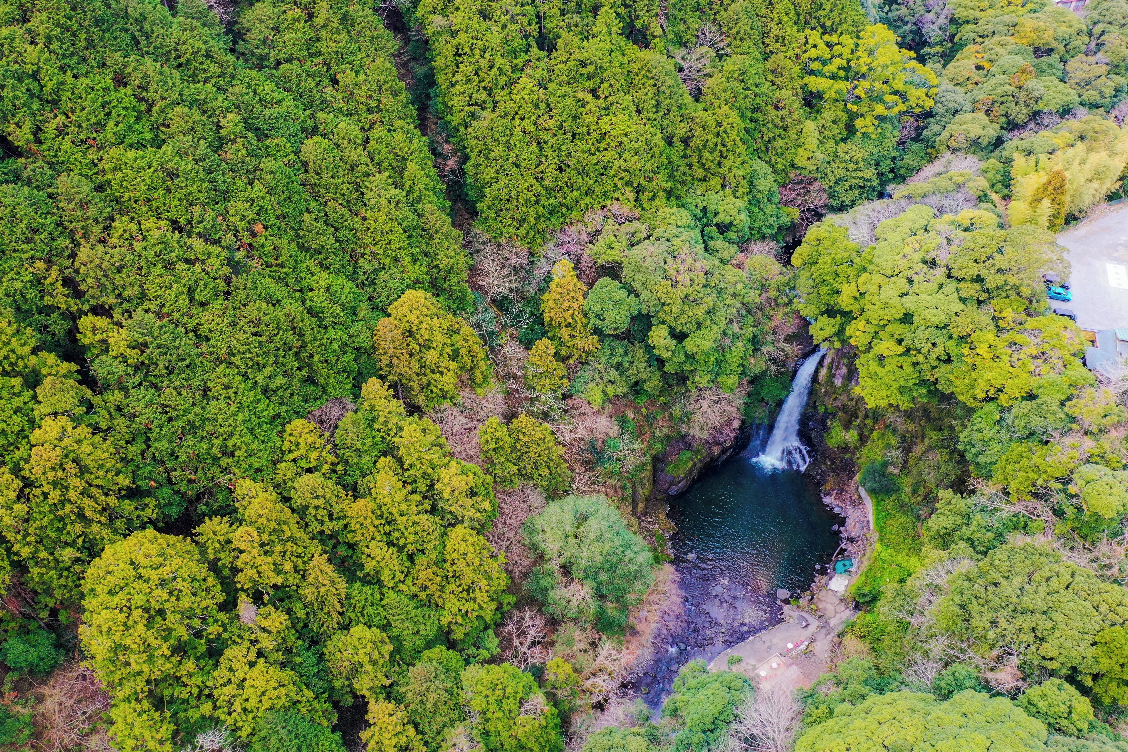 This is a famous waterfall within Kawazu area of Japan. There are 7 waterfalls along the stream and this is the largest one.