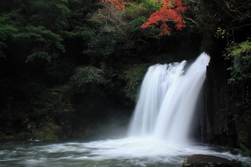 A waterfall surrounded by dense forest and autumn foliage.