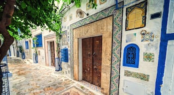 Medinaen i Hammamet