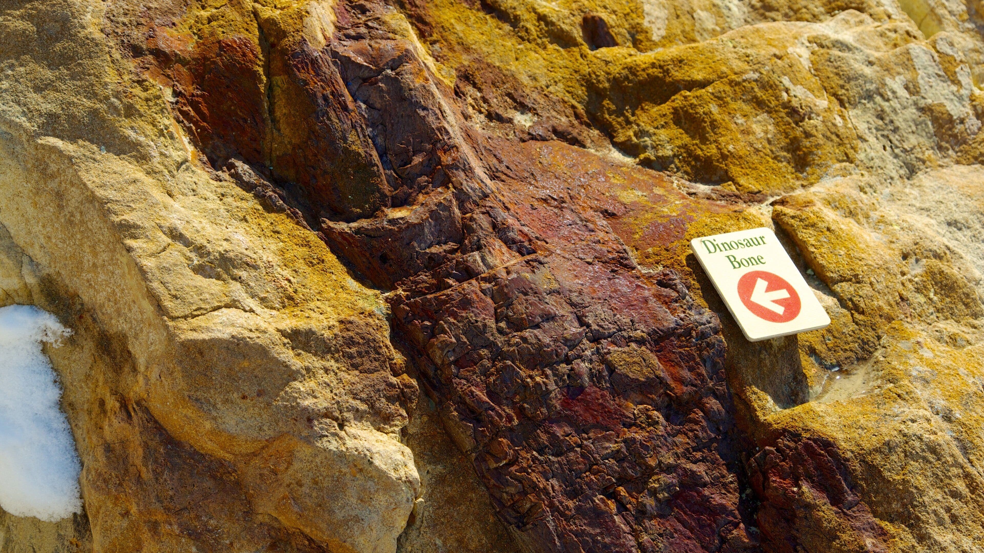 Dinosaur Ridge das einen Beschilderung