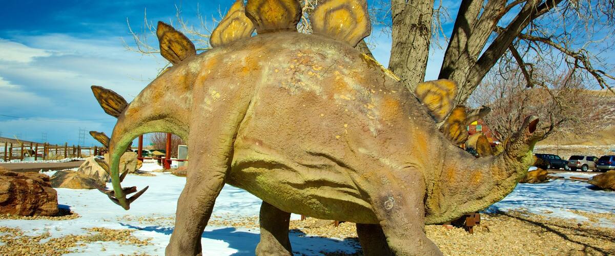 Dinosaur Ridge montrant art en plein air