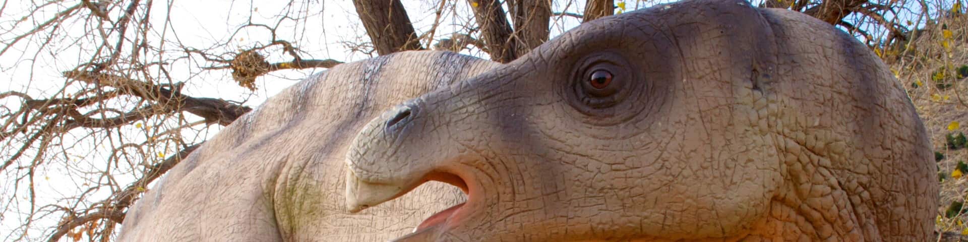 Explore Dinosaur Ridge in Morrison Colorado with its fascinating dinosaur sculptures and beautiful landscapes