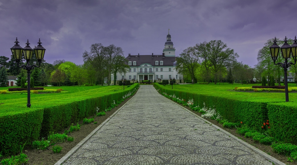 historical country house in Koszewo