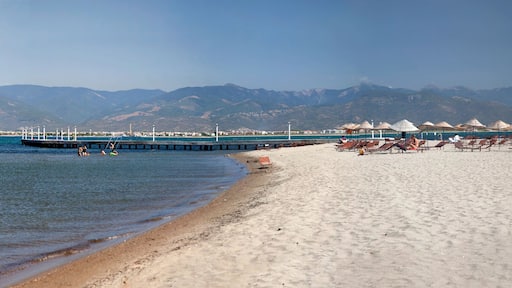 Küçükkuyu