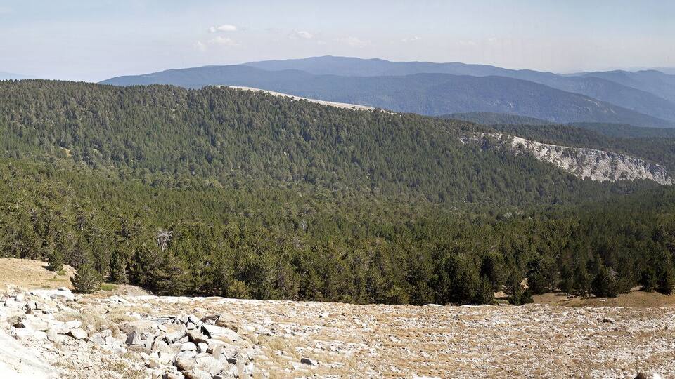 A mountainous landscape with dense forests, rocky terrain, and distant mountains.