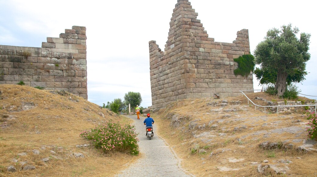 Puerta de Myndos mostrando ruinas de edificios