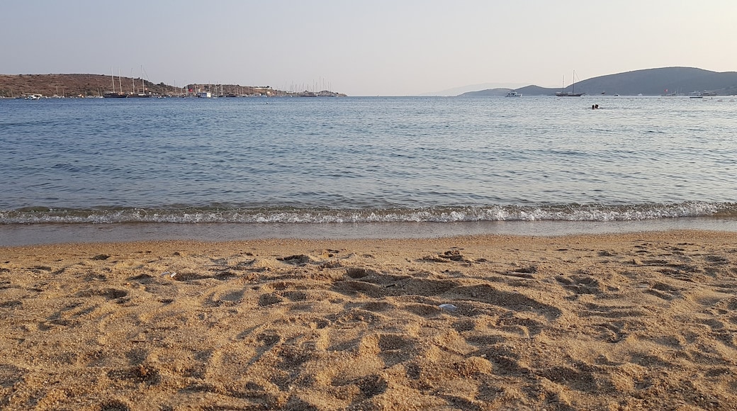Beach Gumbet, Bodrum from Mugla, Turkey
