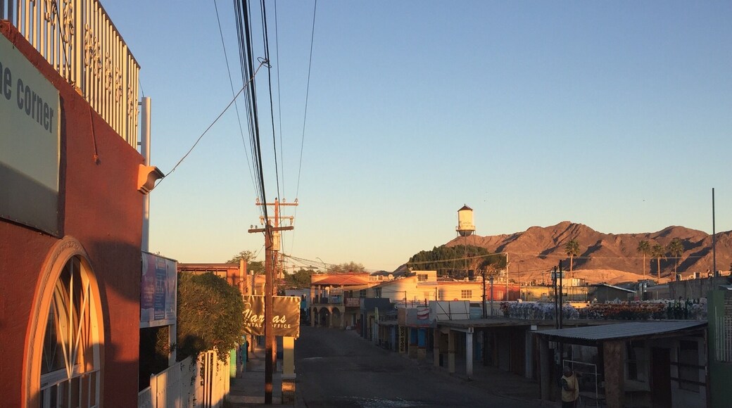 Morning in Los Algodones, before the sun has risen high enough to shine on the streets and before the vendors, dental patients, and tourists have arrived.