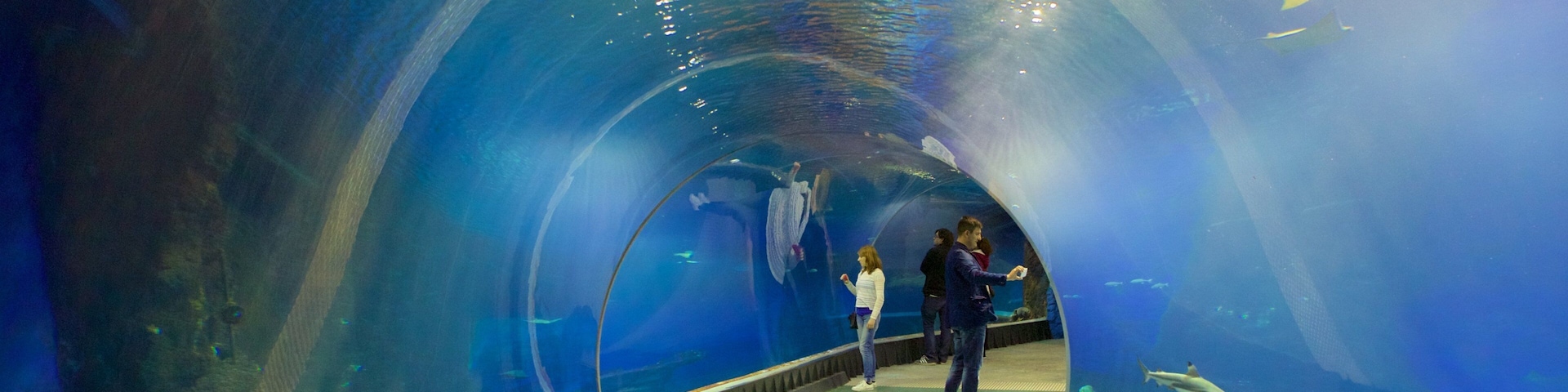 ZoolĂłgico de WrocĆaw que inclui vida marinha assim como um pequeno grupo de pessoas