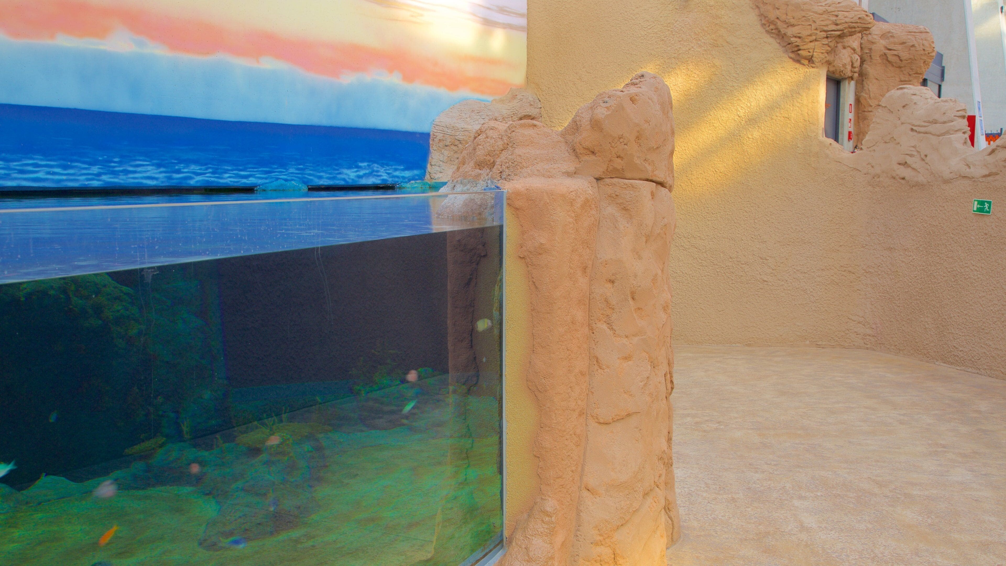 Wroclaw Zoo featuring marine life