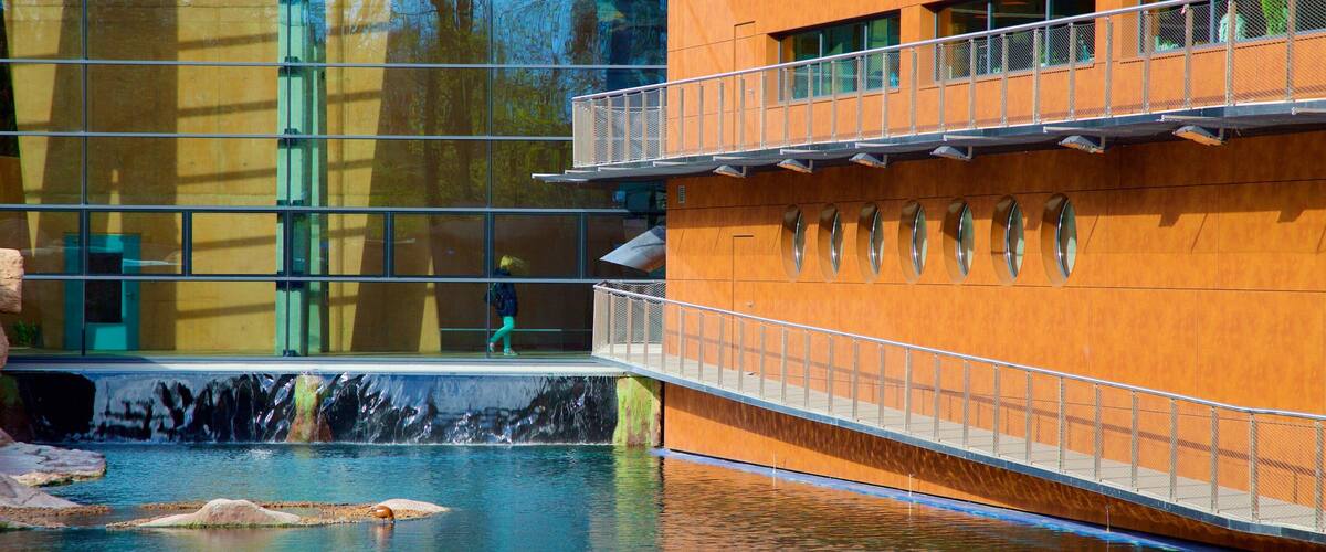 Wroclaw Zoo showing zoo animals