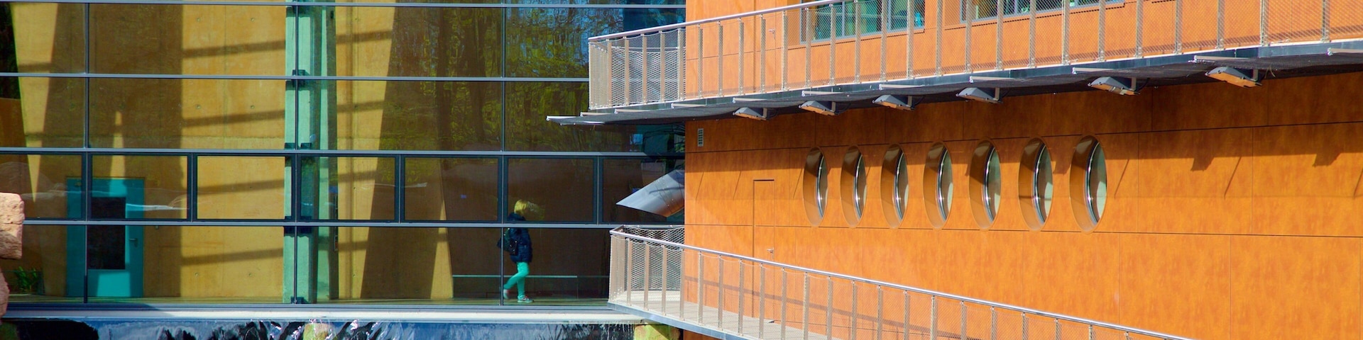 Wroclaw Zoo showing zoo animals