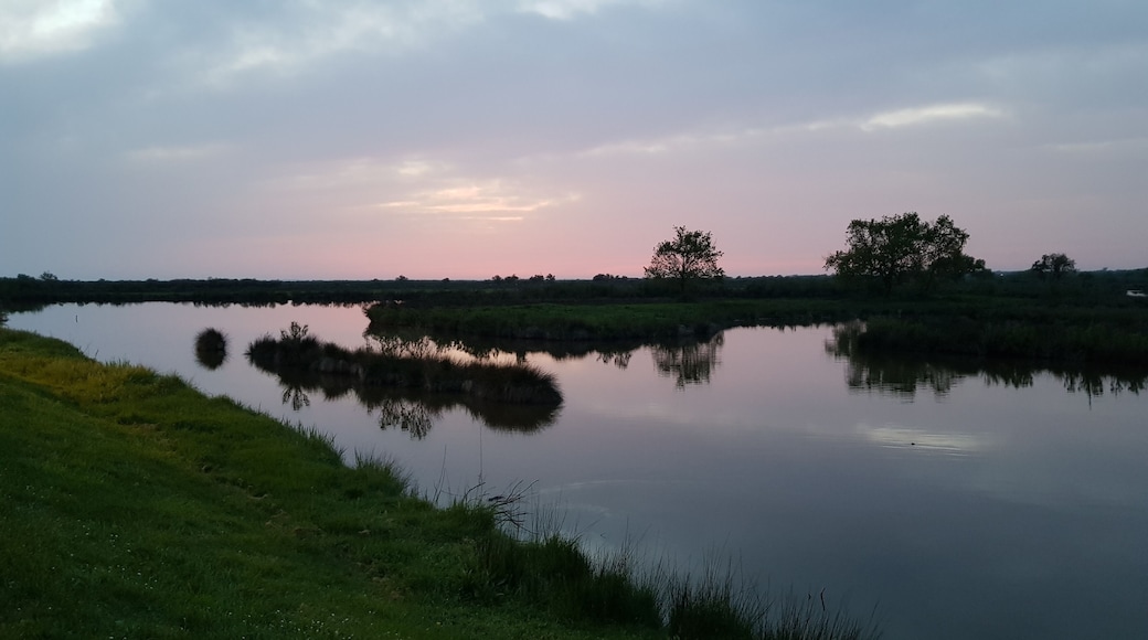 #lappeldelapaisement en regardant le domaine de graveyron (1h30 environ de marche avec des vues et oiseaux differents tout au long de l'année) photo prise sur le port d'audenge