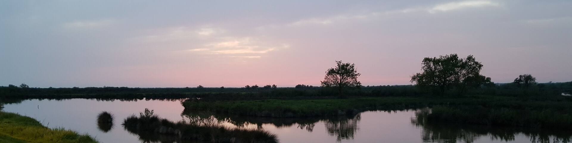 #lappeldelapaisement en regardant le domaine de graveyron (1h30 environ de marche avec des vues et oiseaux differents tout au long de l'année) photo prise sur le port d'audenge
