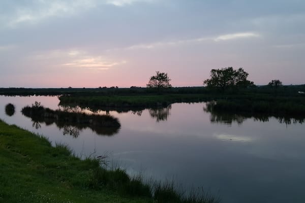 #lappeldelapaisement en regardant le domaine de graveyron (1h30 environ de marche avec des vues et oiseaux differents tout au long de l'année) photo prise sur le port d'audenge