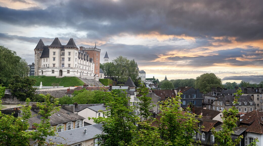 View of the castle of Pau in France