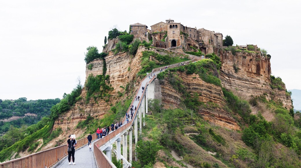 フォルテッツァ