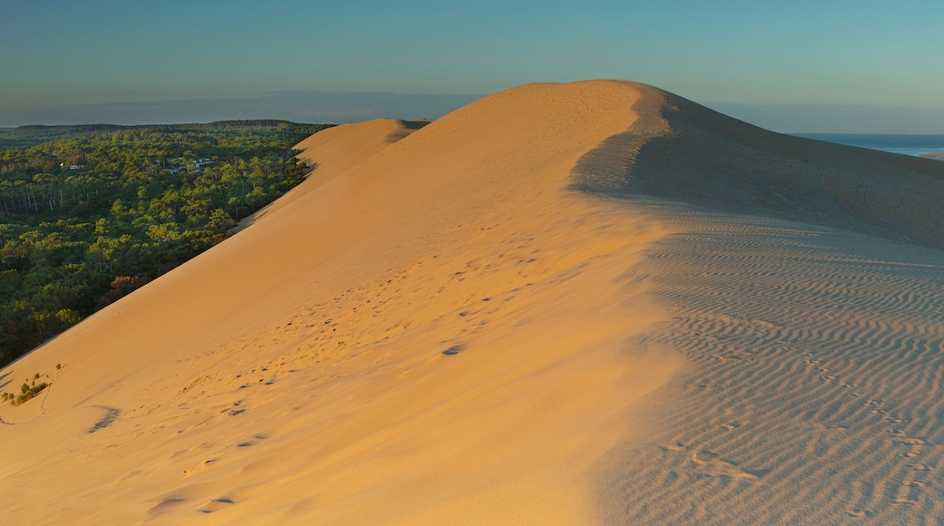 ピラ シュル メール