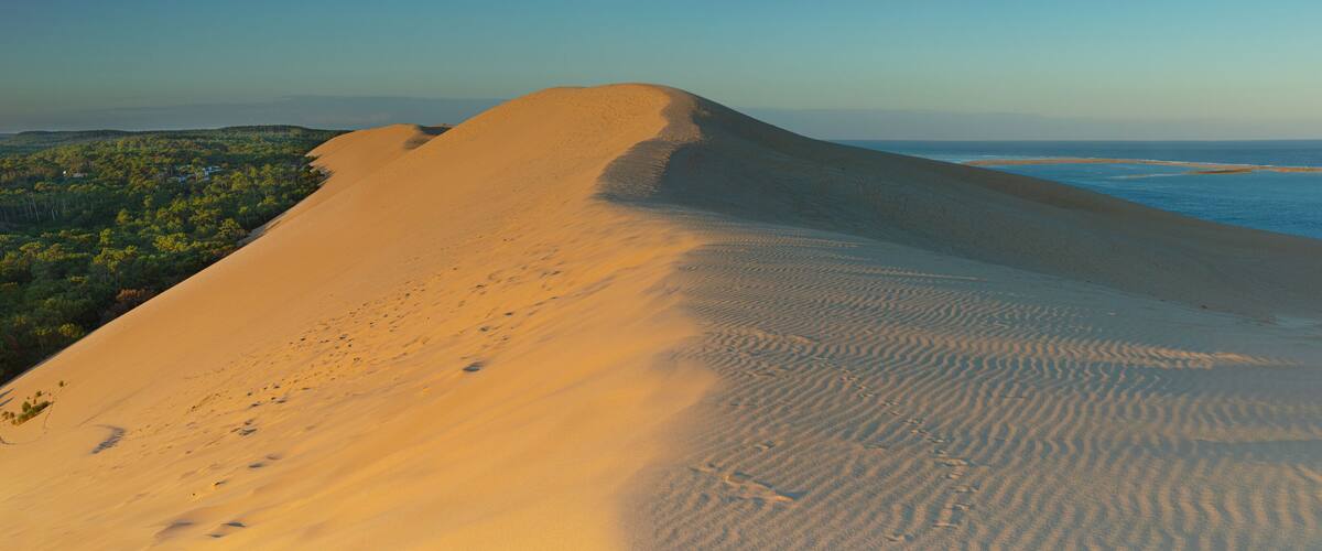 A sand dune landscape with a clear view of the ocean and distant greenery.
