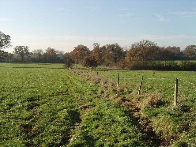Radlett: Little Kendals Wood. Viewed looking west along the footpath from Watling Street.