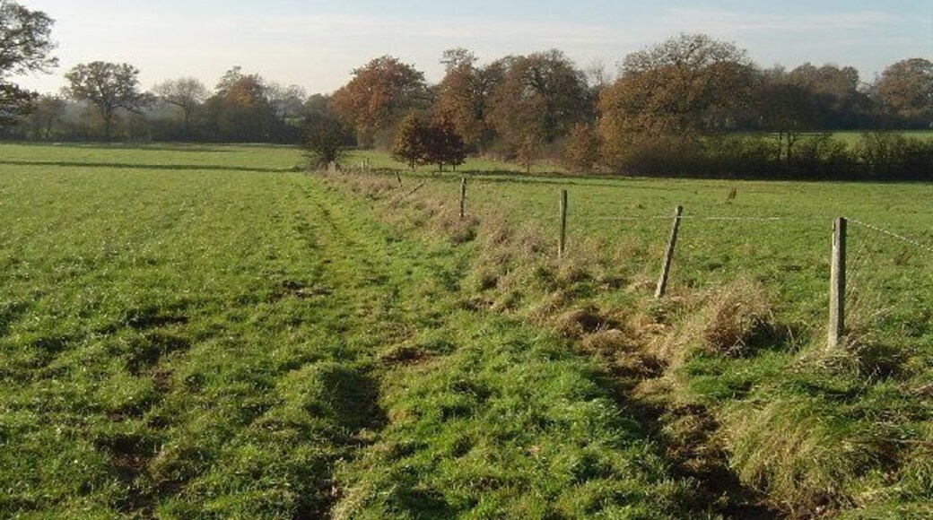 Radlett: Little Kendals Wood. Viewed looking west along the footpath from Watling Street.
