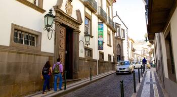 Museu de História Natural toont straten en een stad