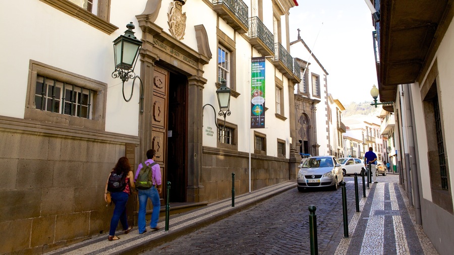 Museum of Natural History which includes a city and street scenes