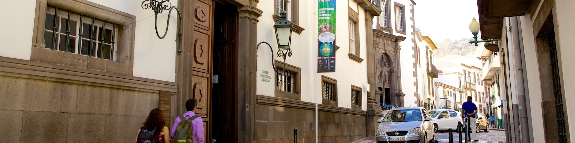 Museum of Natural History which includes street scenes and a city