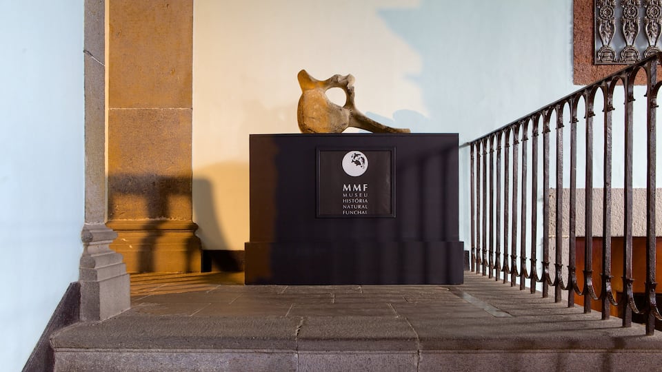 Museum of Natural History showing interior views