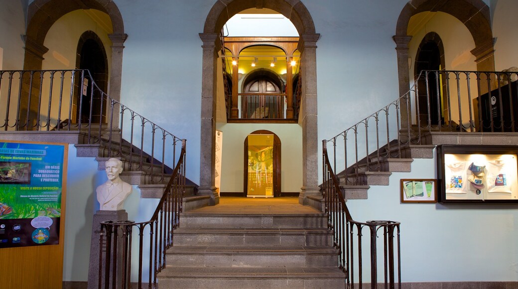 Museum of Natural History which includes interior views