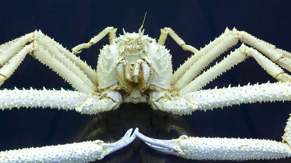 Museum of Natural History showing interior views