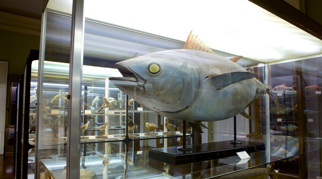 Museum of Natural History showing interior views