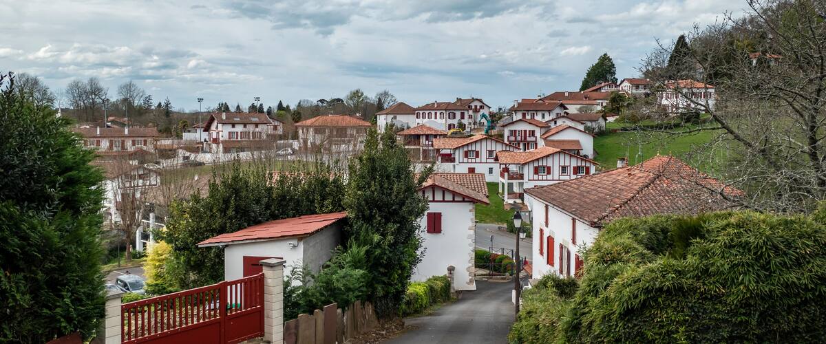 A village with red-roofed houses, a narrow road, and lush greenery.