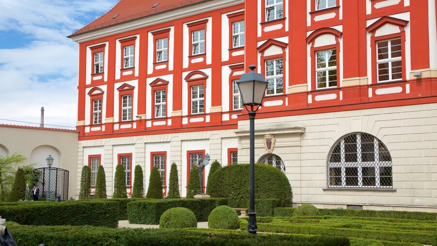 Ossolineum mettant en vedette jardin