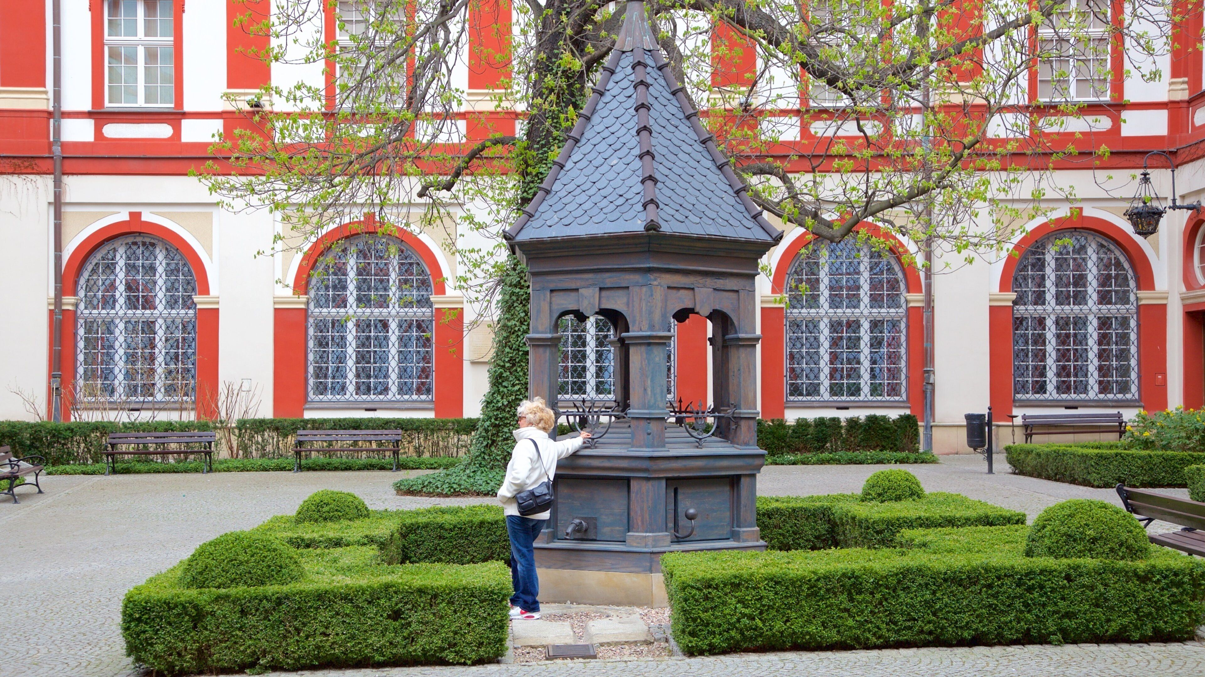 Ossolineum toont een tuin en een plein en ook een vrouw