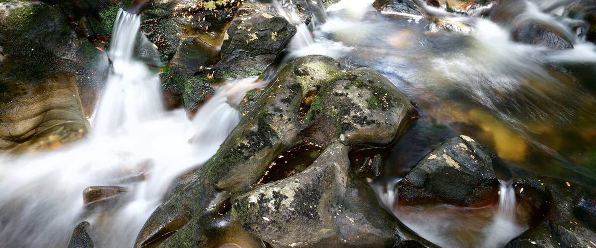 Enchanted Nature Walk which includes a river or creek