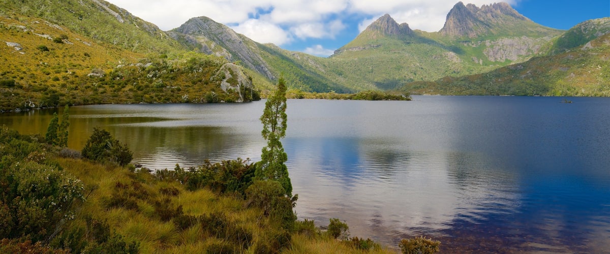 Dove Lake qui includes scÚnes tranquilles et lac ou étang
