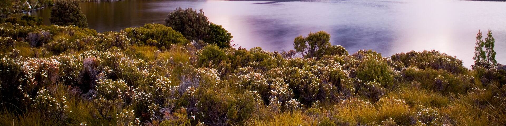 Dove Lake, Cradle Mountain In Tasmania, Australia