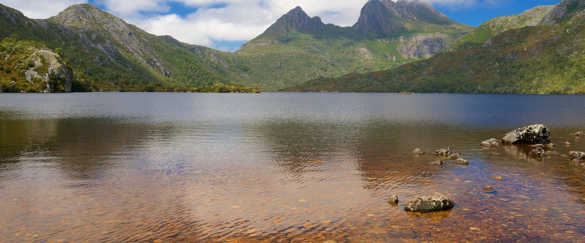 Dove Lake presenterar stillsam natur och en sjö eller ett vattenhål