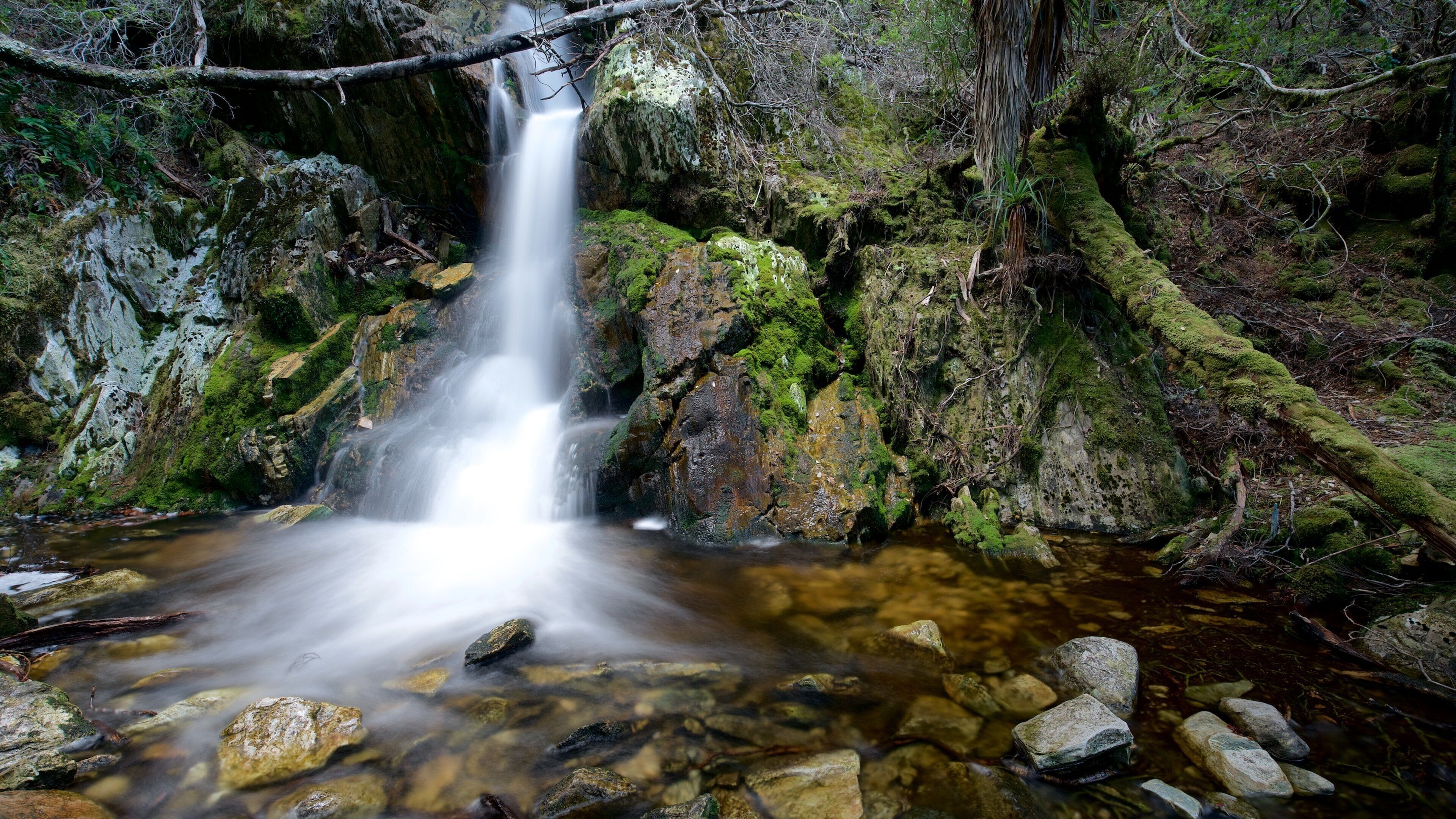 Cradle Mountain which includes a waterfall