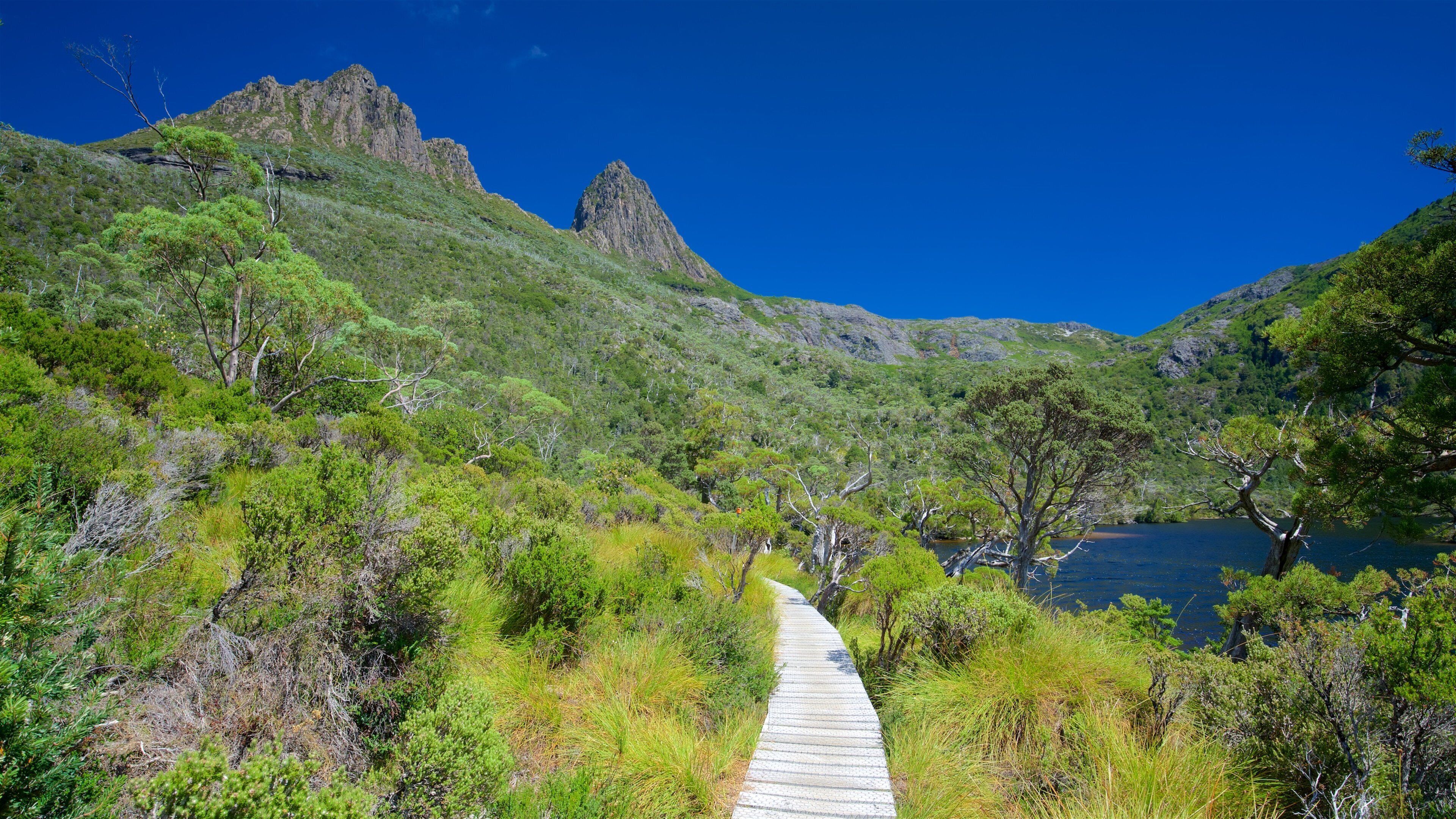 Cradle Mountain qui includes scènes tranquilles et lac ou étang