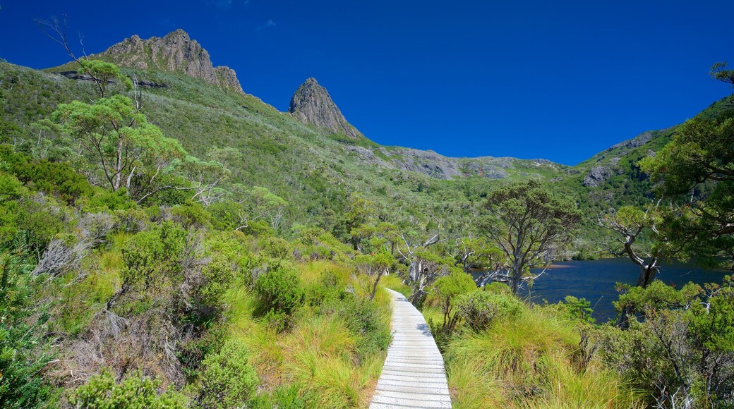 Cradle Mountain qui includes scÚnes tranquilles et lac ou étang