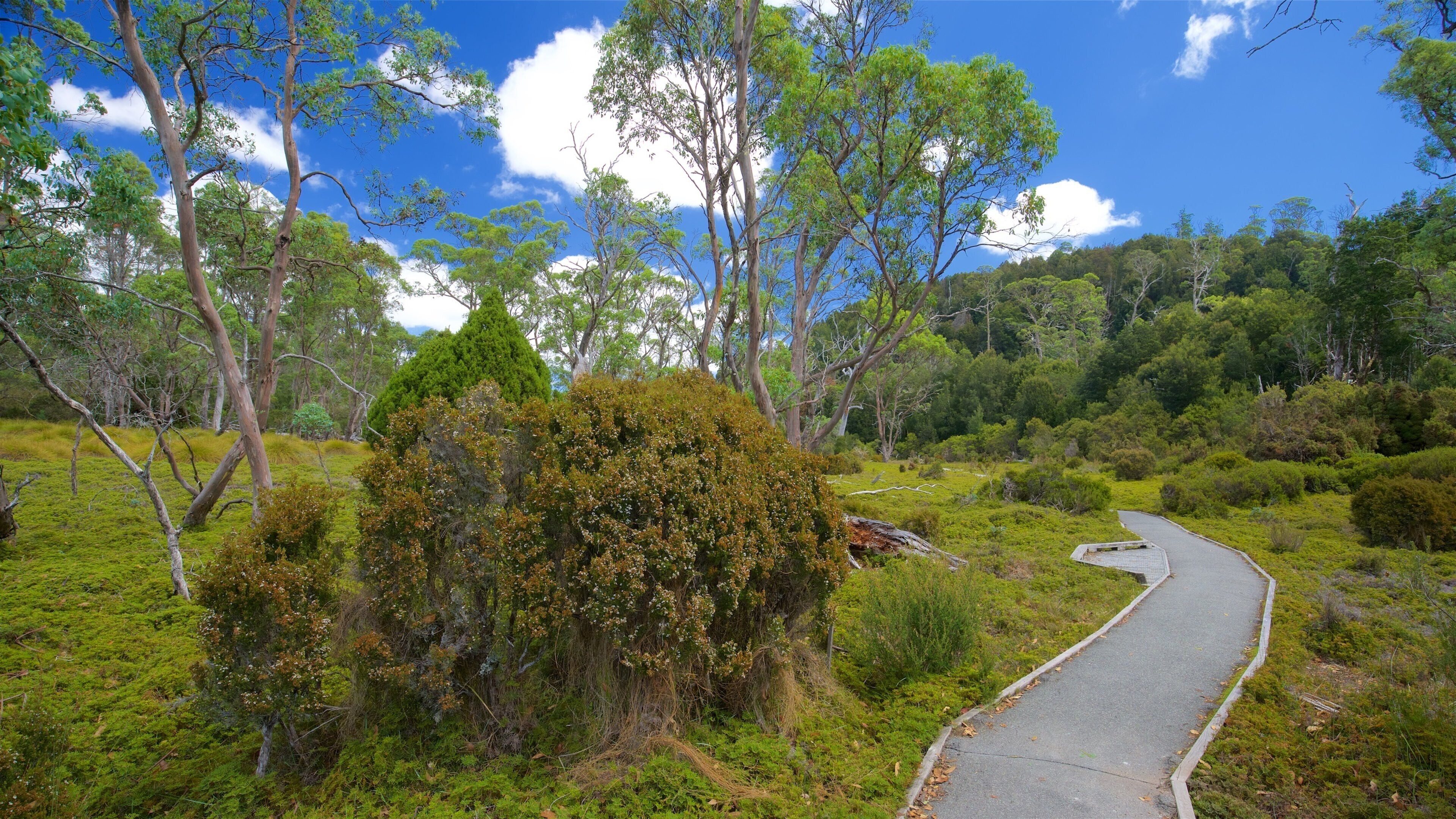 Cradle Mountain which includes tranquil scenes and a park