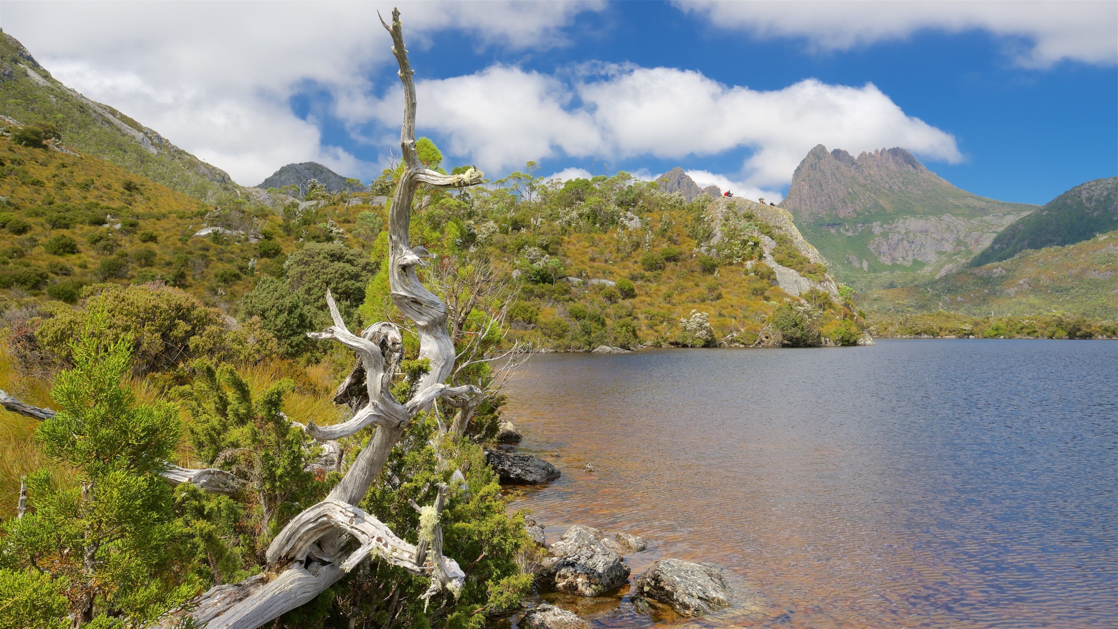 Cradle Mountain qui includes scènes tranquilles et lac ou étang