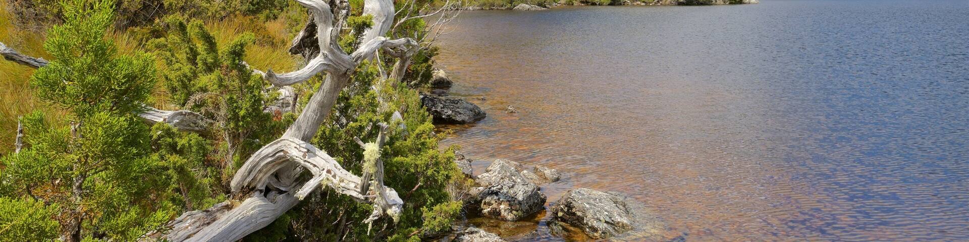 A lake surrounded by mountains and a dead tree.