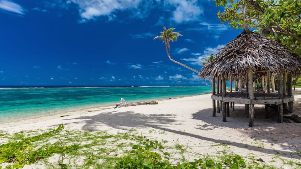 A beach with a thatched hut, a palm tree, and clear turquoise waters.
