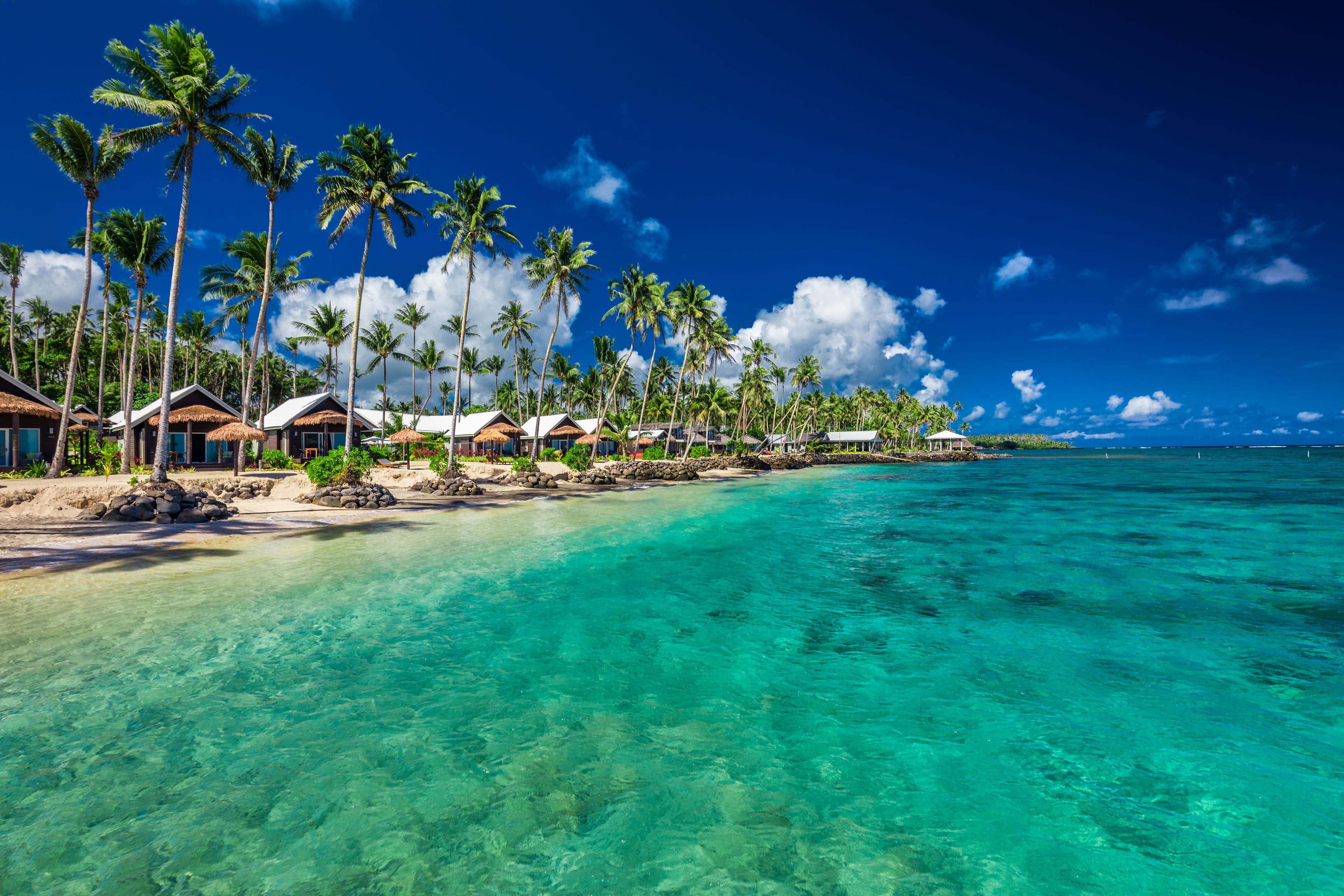 A tropical beach with clear turquoise water, palm trees, and overwater bungalows.