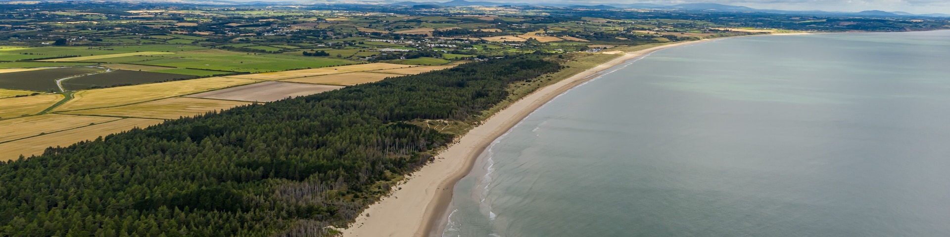 Aerial View over The Raven, County Wexford, Ireland
