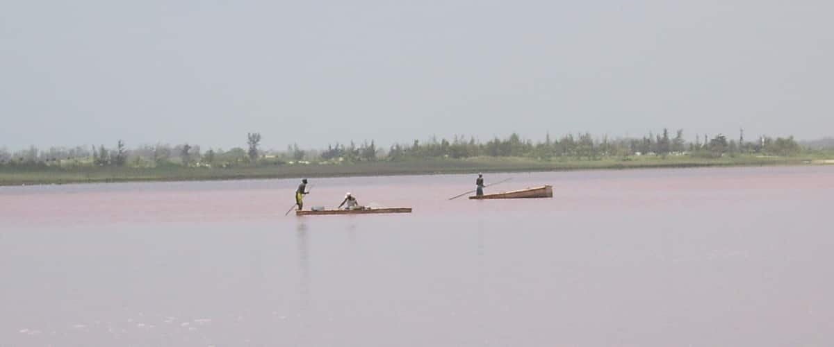 Special algae cause the lake to appear pink