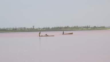 Special algae cause the lake to appear pink